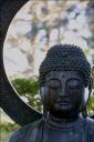 Buddha mind